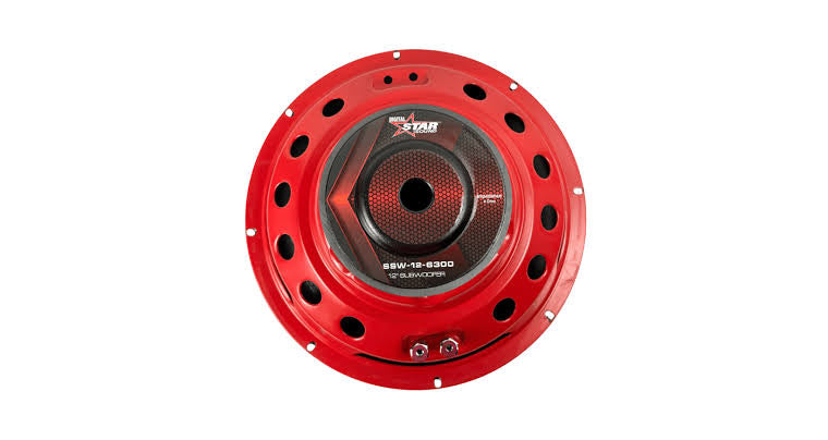 DIGITAL STAR SOUND 12" Subwoofer (6300W)